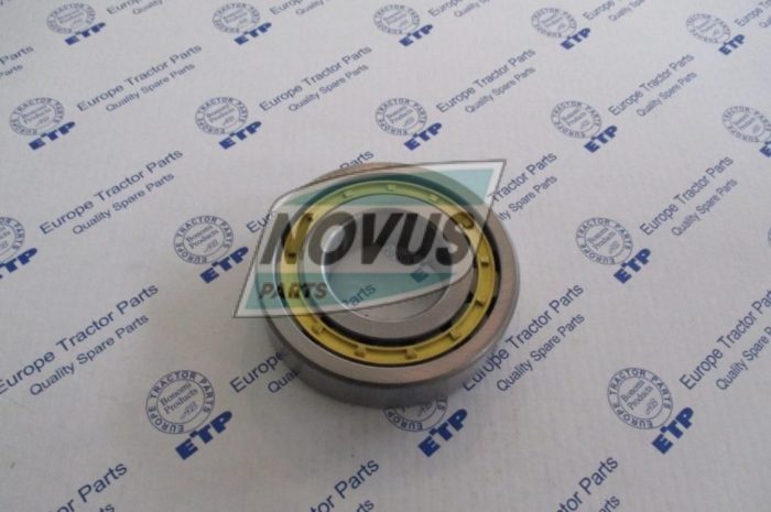 Подшипник 06043-00313